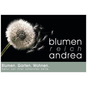 Read more about the article Blumen Reich Andrea